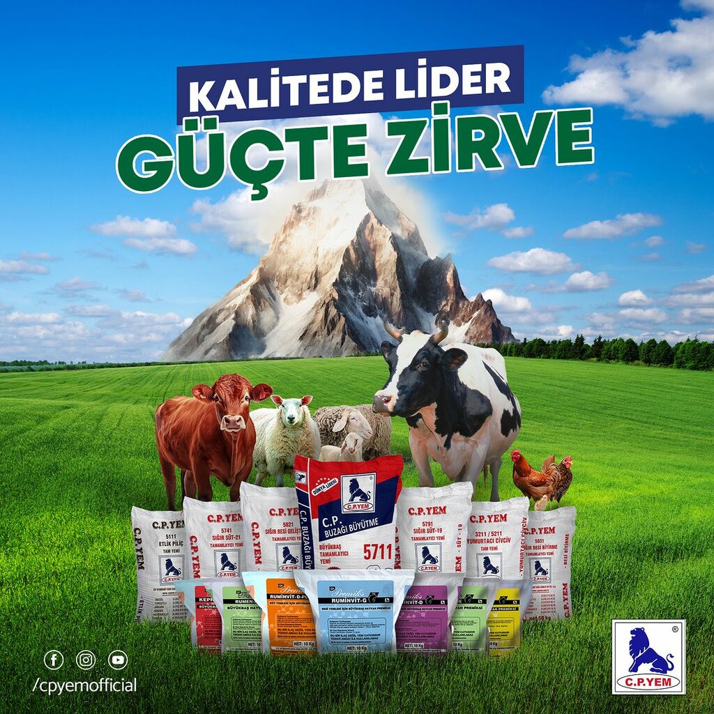 Fodder and feed additives Ankara Cp Yem, Ankara, photo