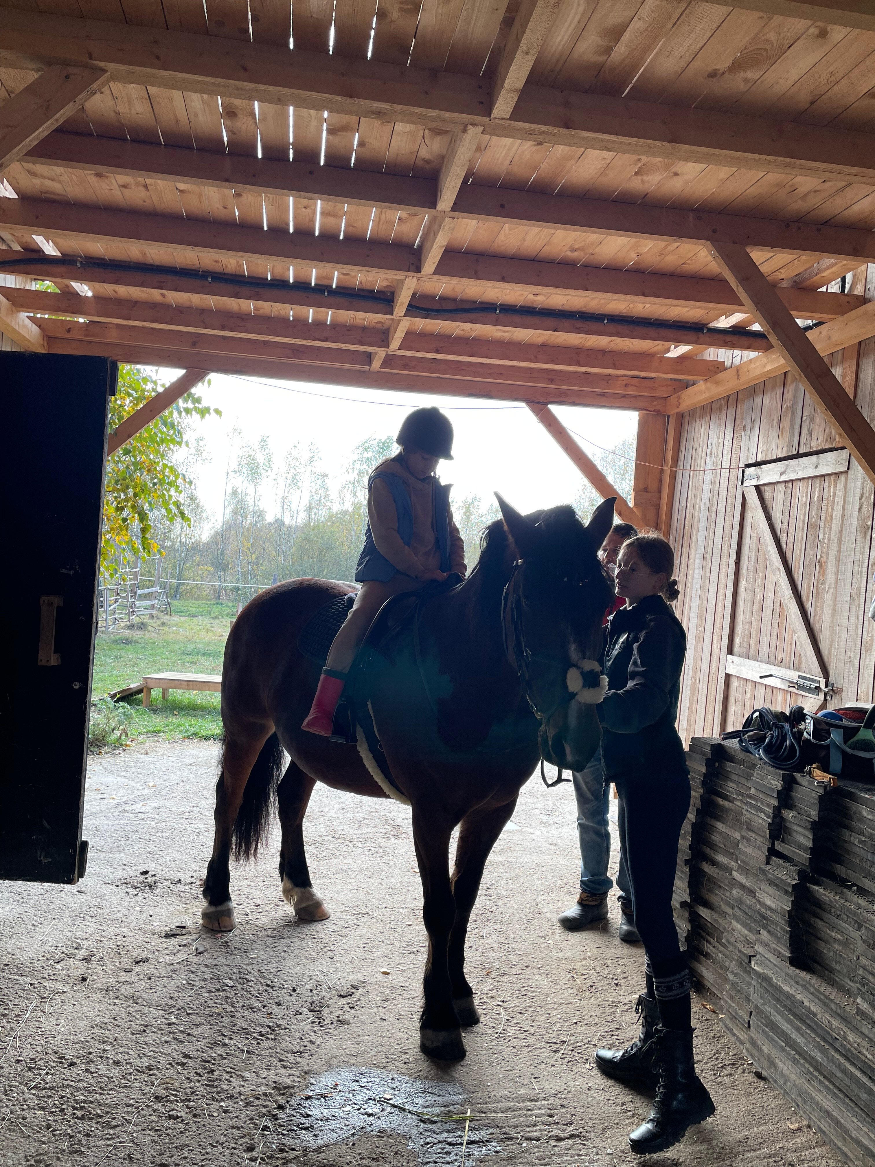 Фото Козы да Березы