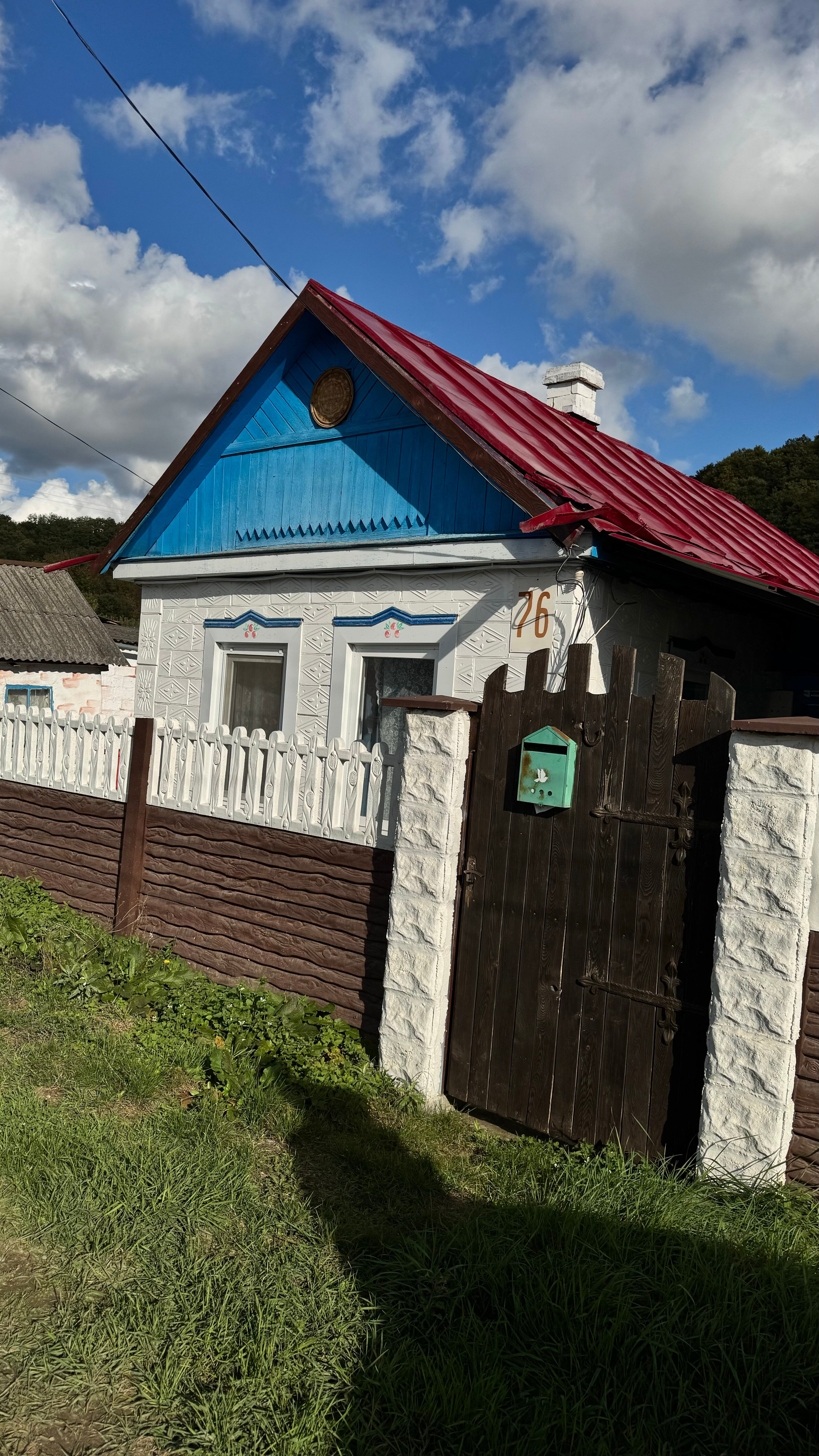 Фото На опушке