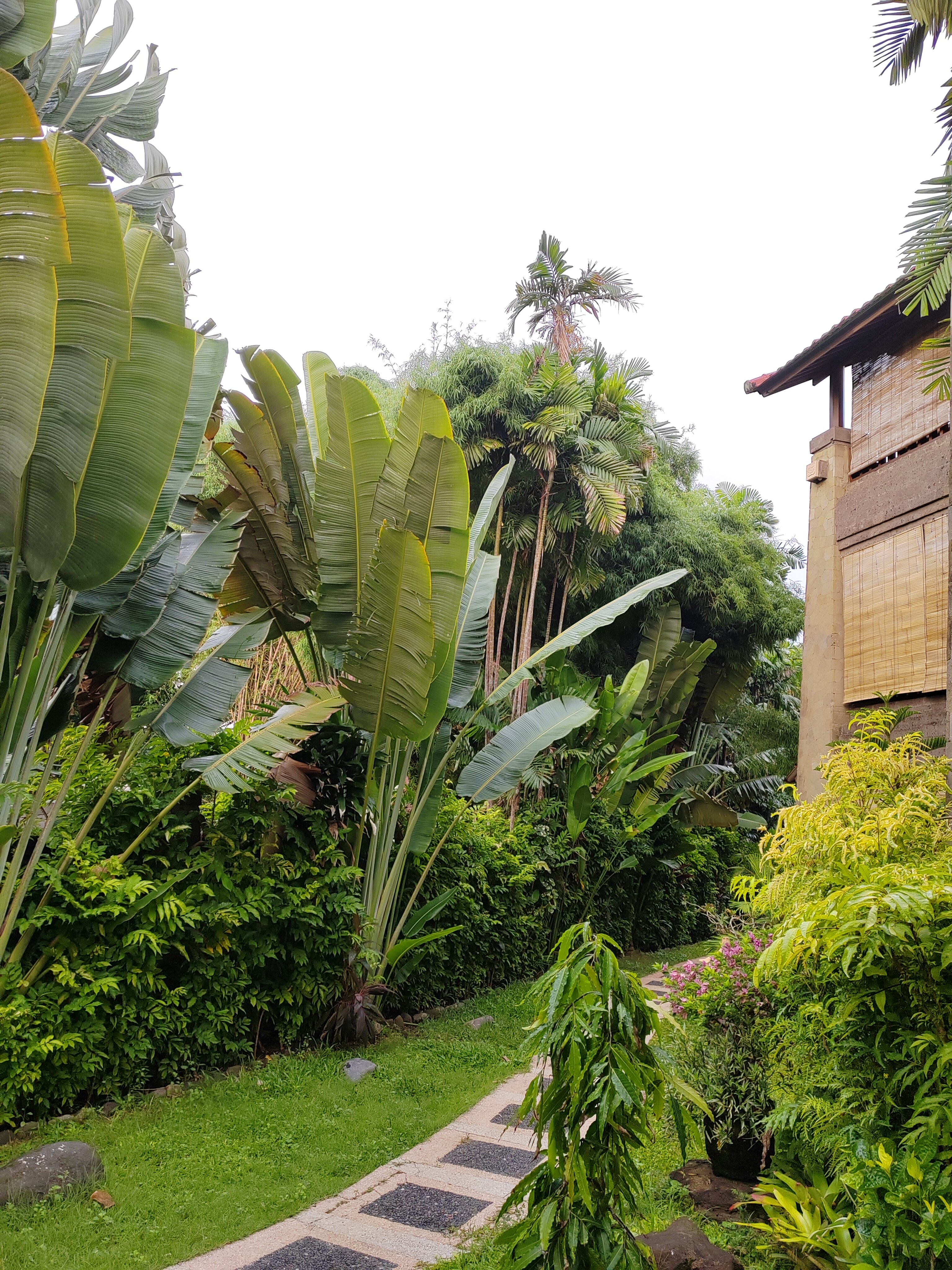 Фото The Grand Bali Nusa Dua