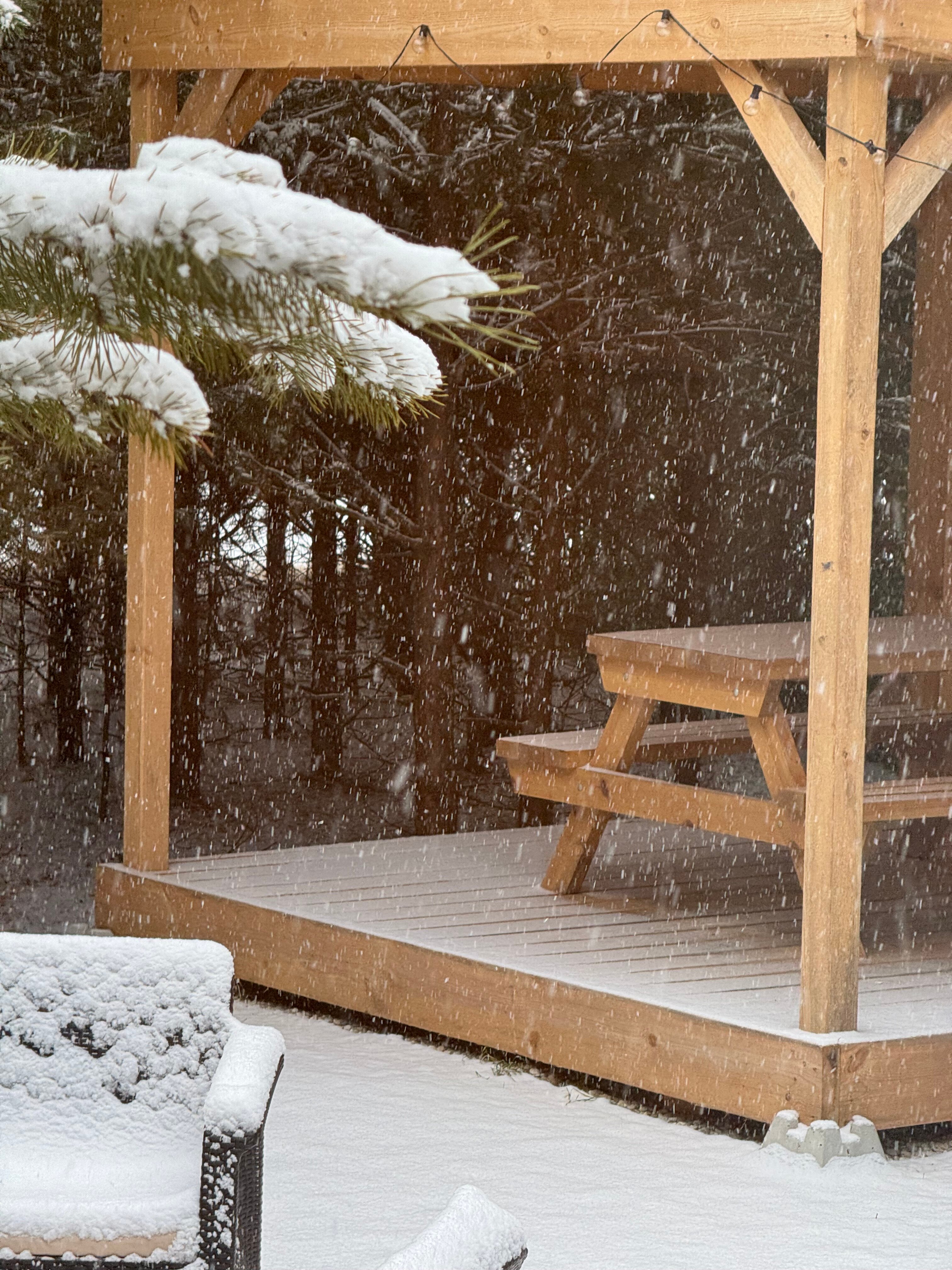 Фото BamBoo Village