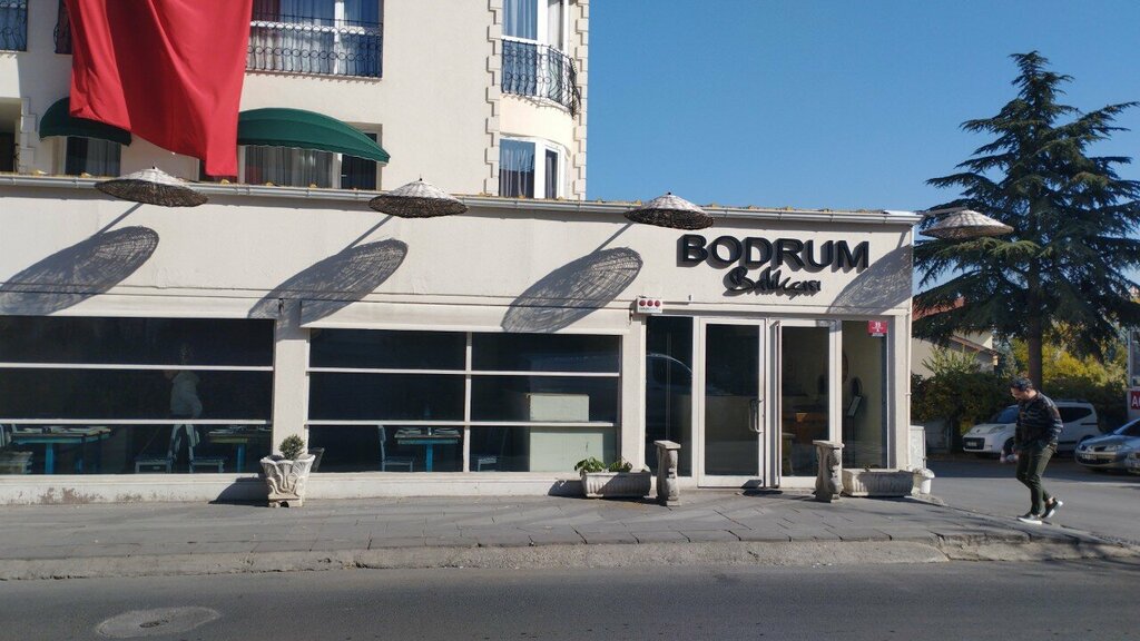 Restaurant Bodrum Balikcisi, Ankara, photo