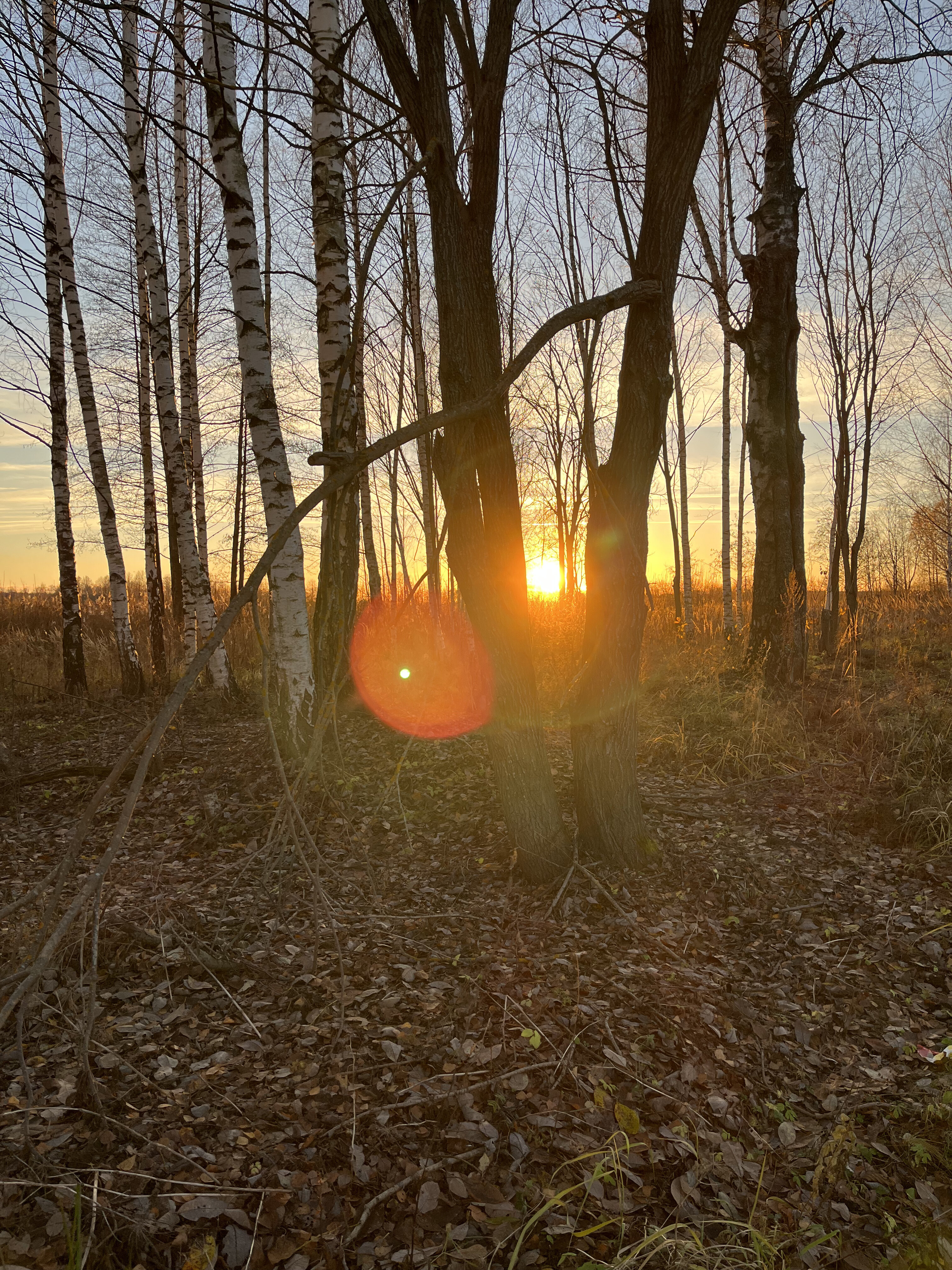 Фото Озеро Ле