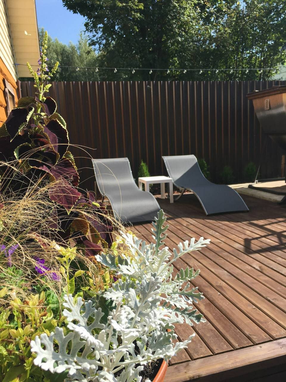 Фото Елки-палки