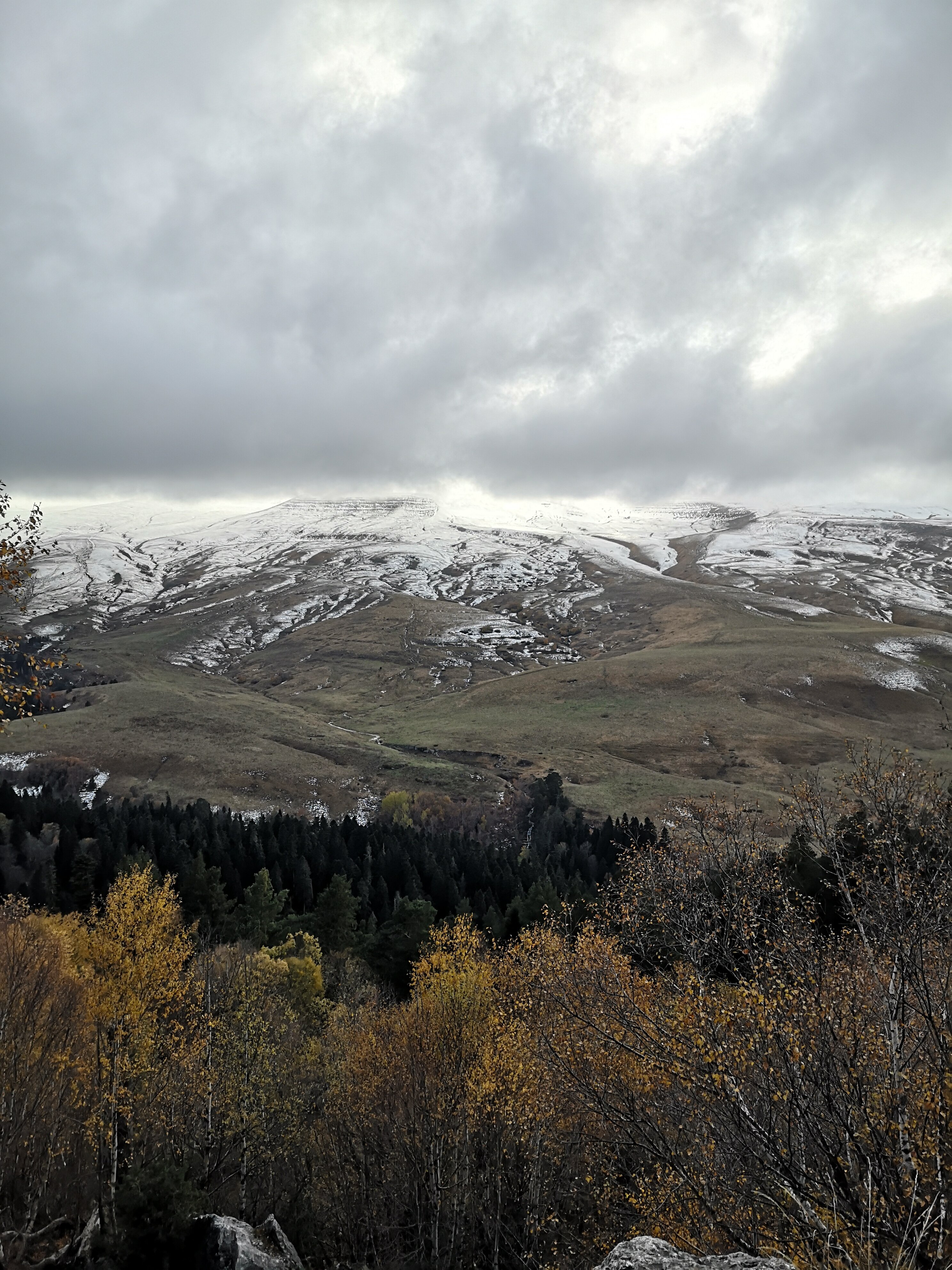 Фото Джемарук