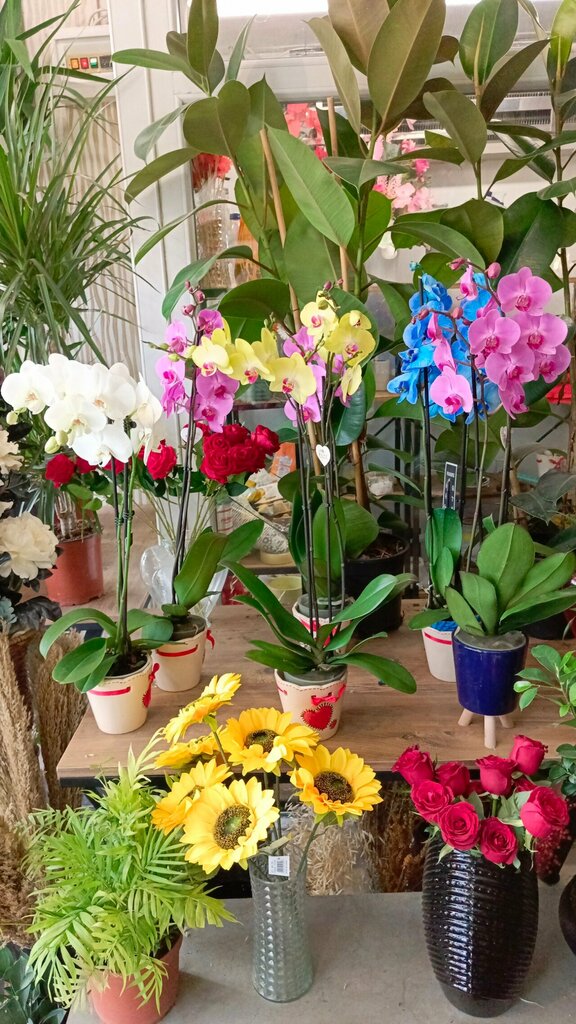 Flower shop Metin Maşalı Çiçekçilik Selçuklu Şb, Konya, photo