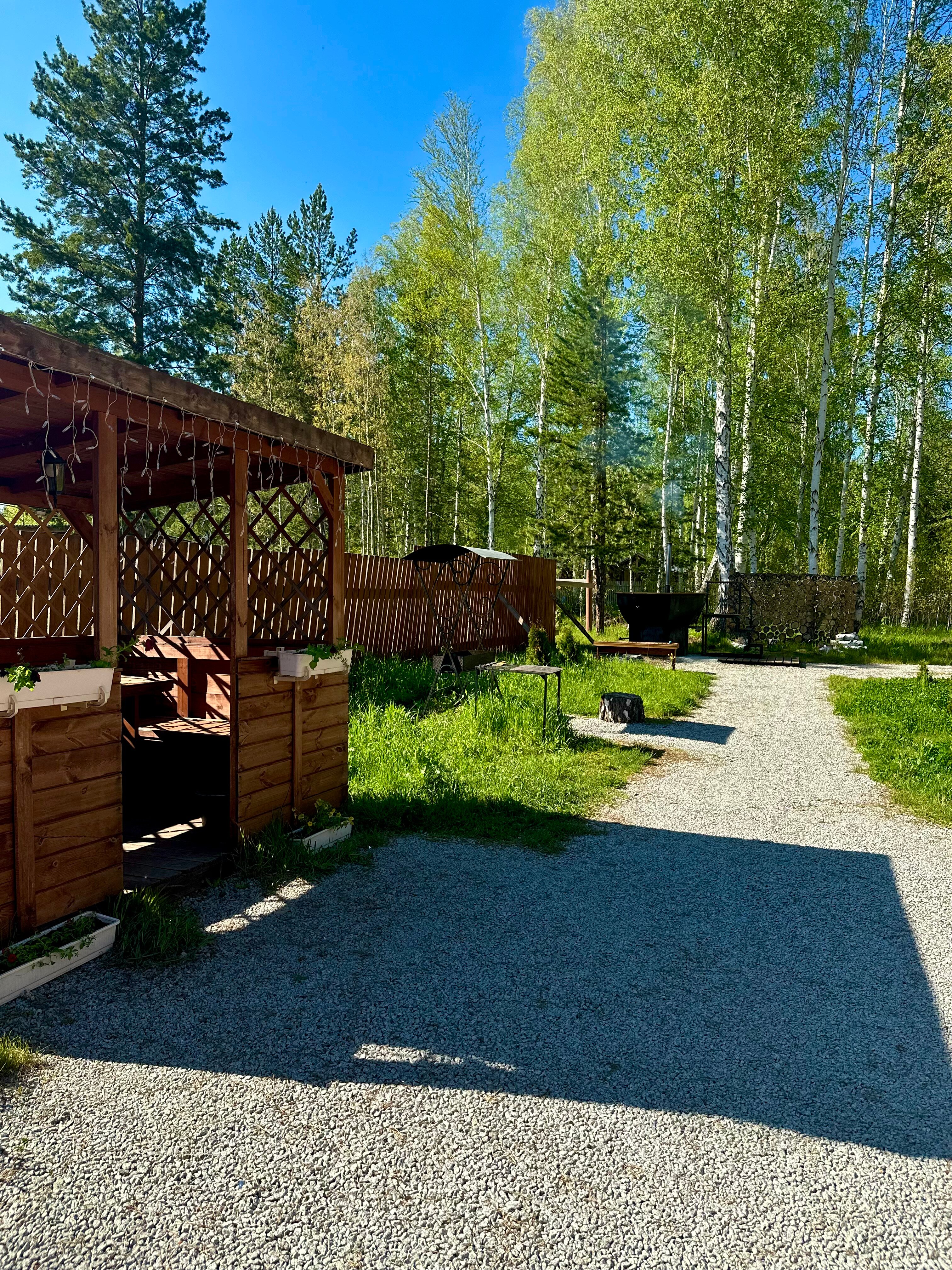 Фото Тихий Кот