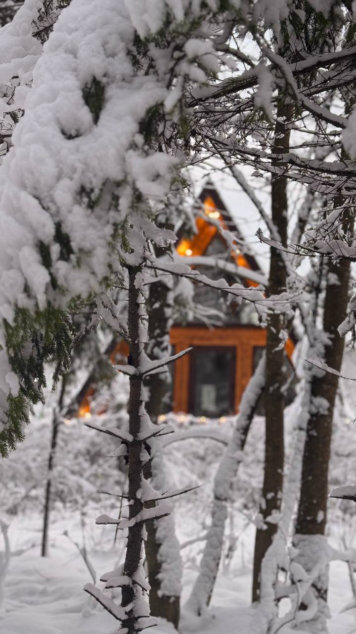 Фото Лисичкин дом
