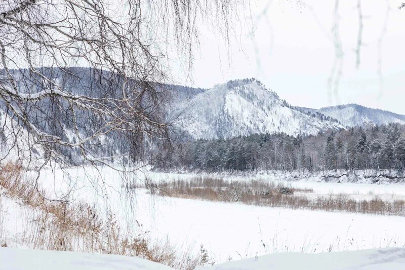 Фото Манская петля