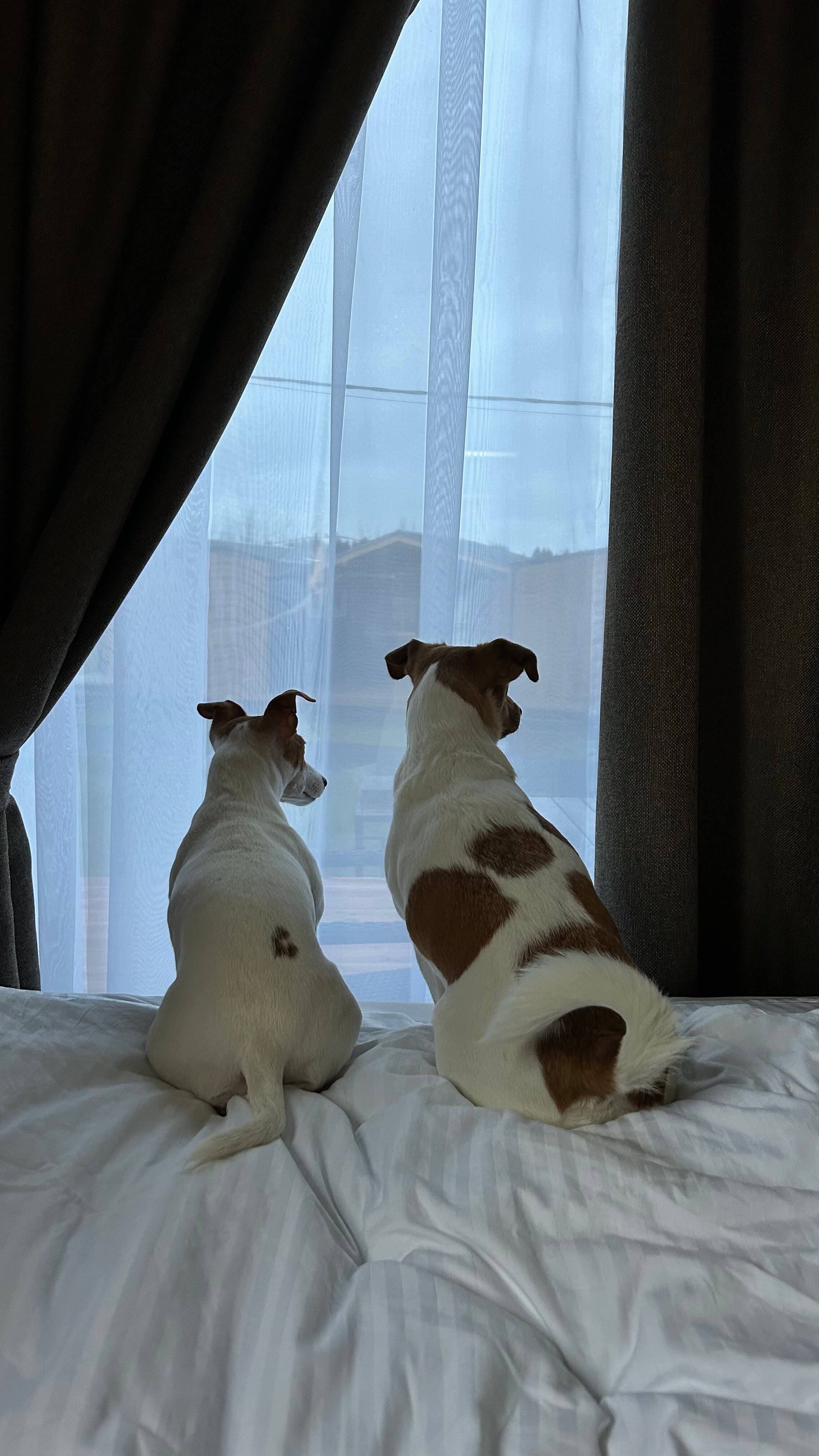 Фото Пятница Эко-Курорт