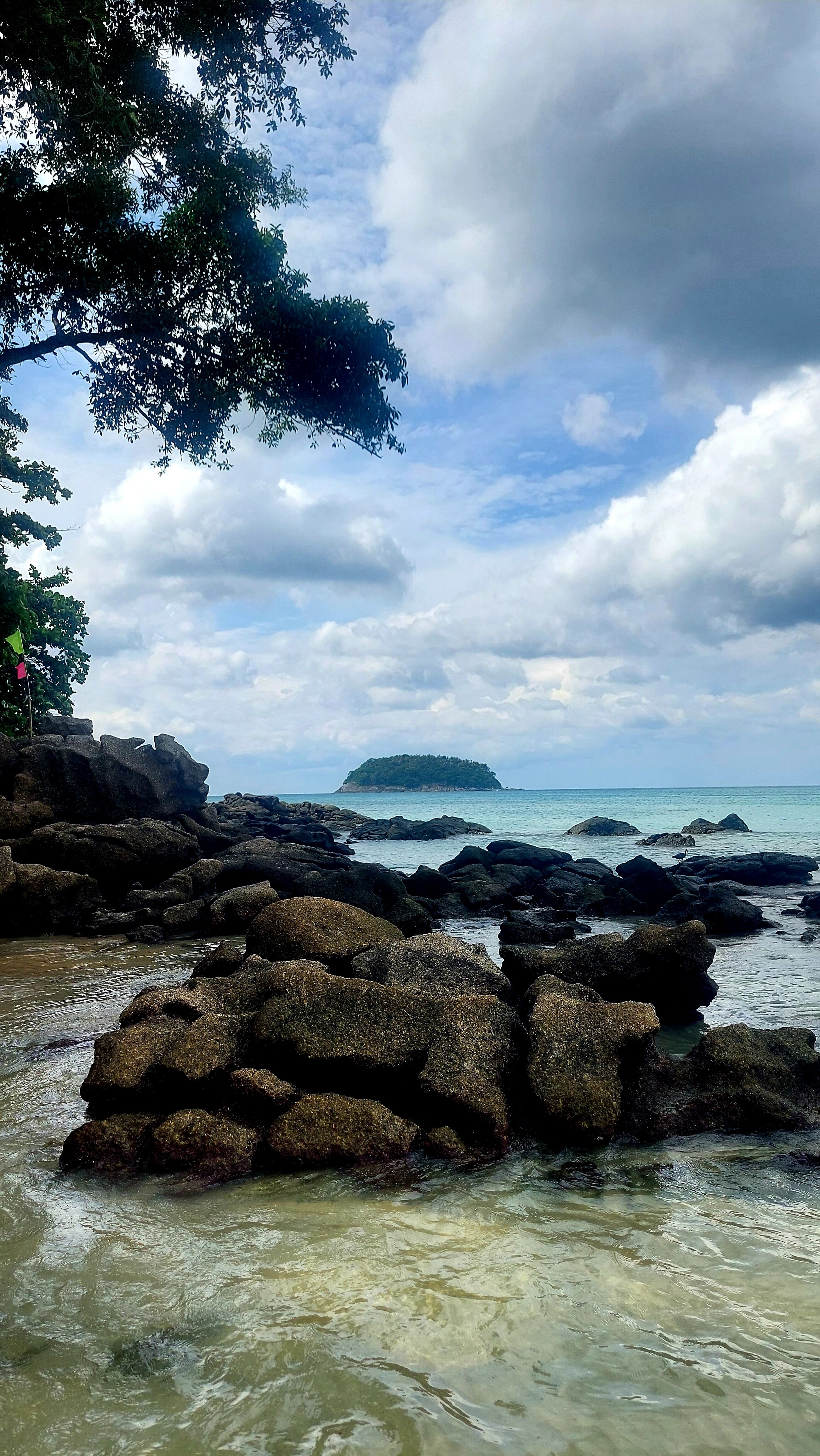 Фото Orchidacea Resort