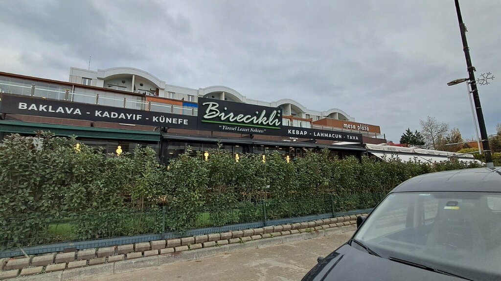 Restaurant Birecikli Göktürk, Istanbul, photo