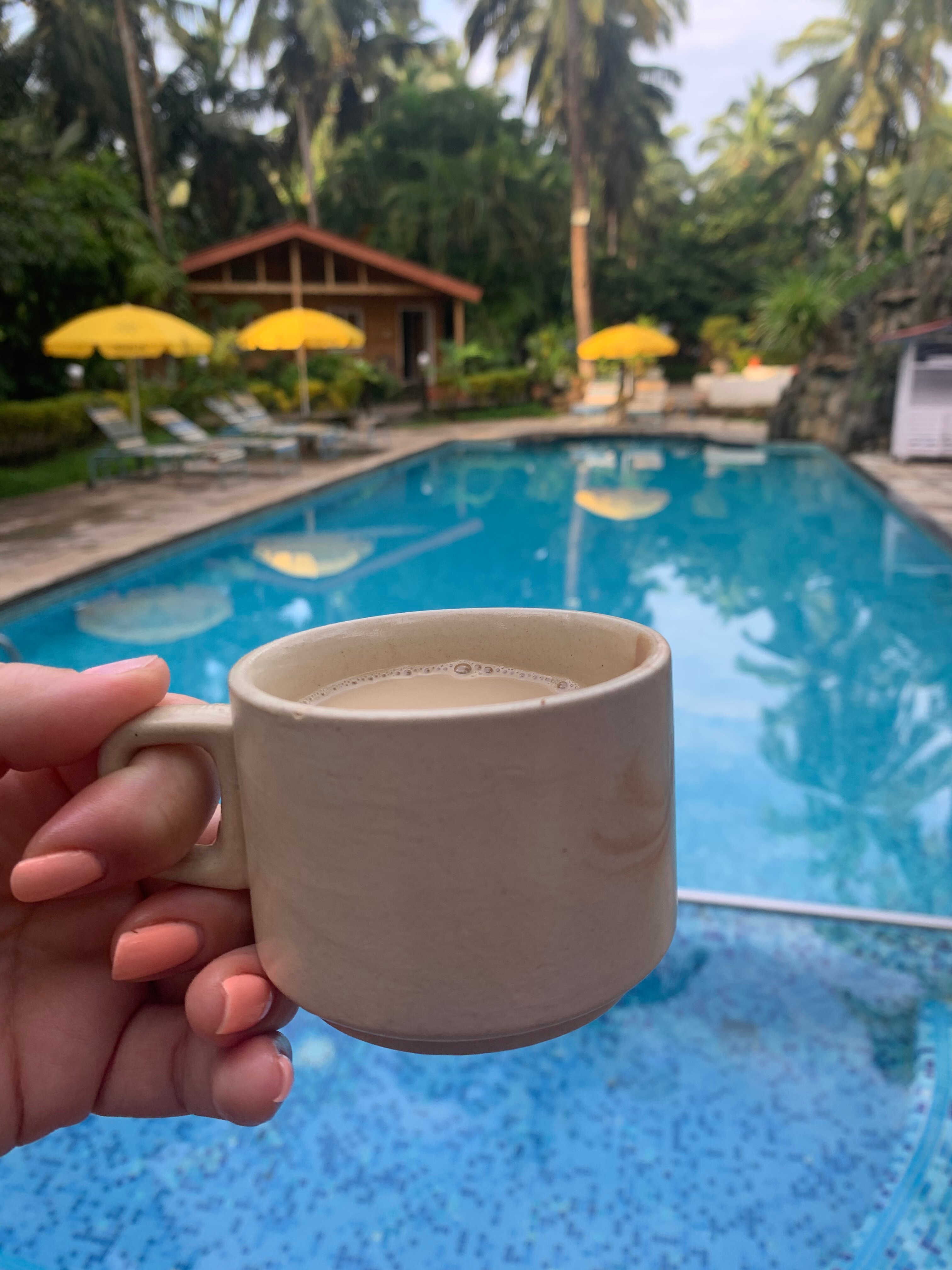 Фото Alagoa Resort