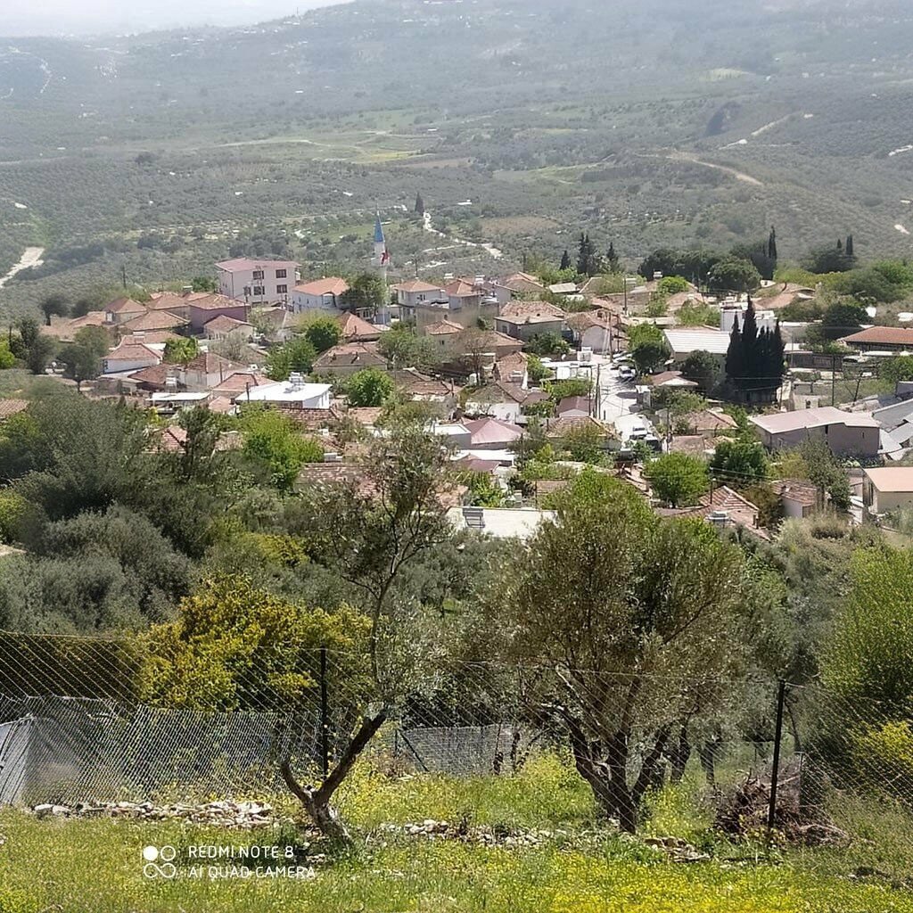 Mukhtars Saipler Koyu Muhtarligi, Torbali, photo