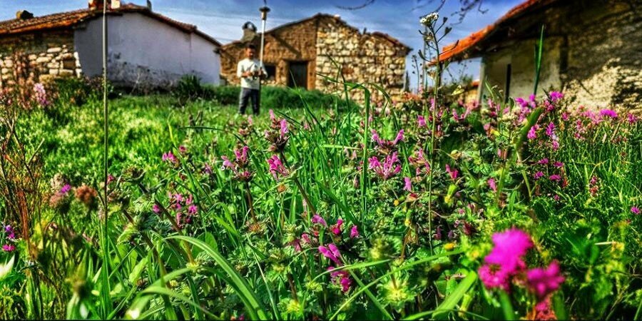 Map production Gri Map Cadastre Engineering, Aliaga, photo