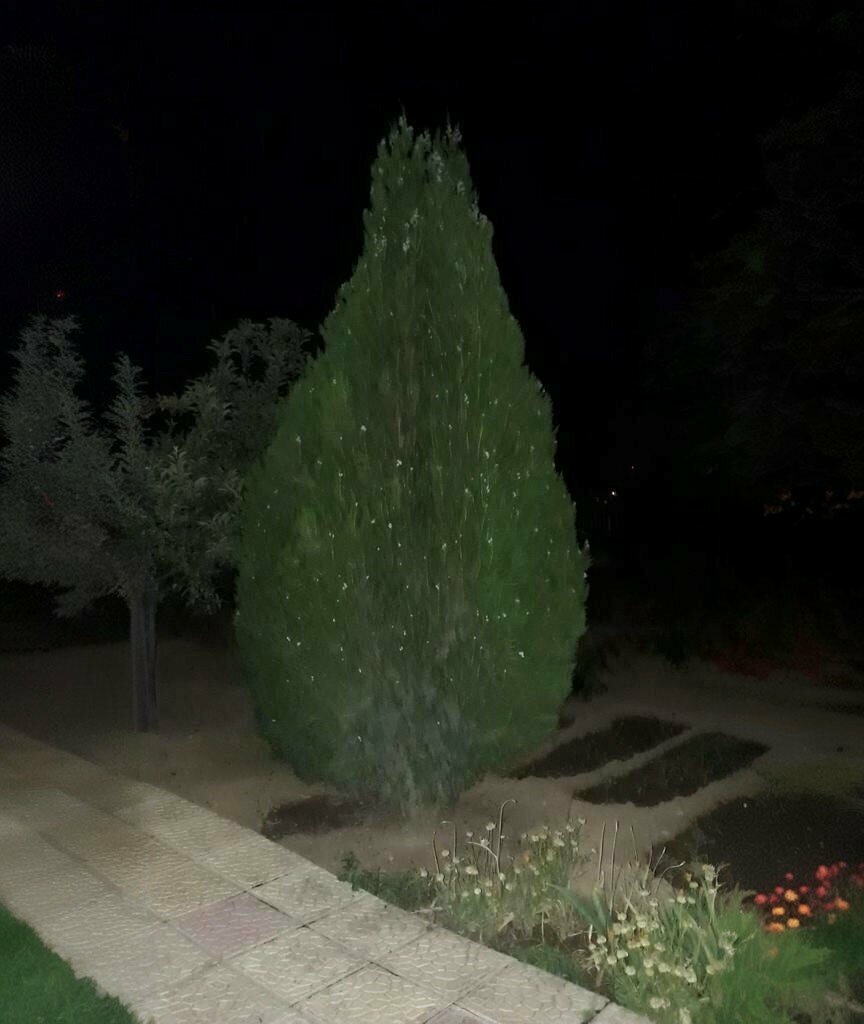 Mosque Serindag Mosque, Kirsehir, photo