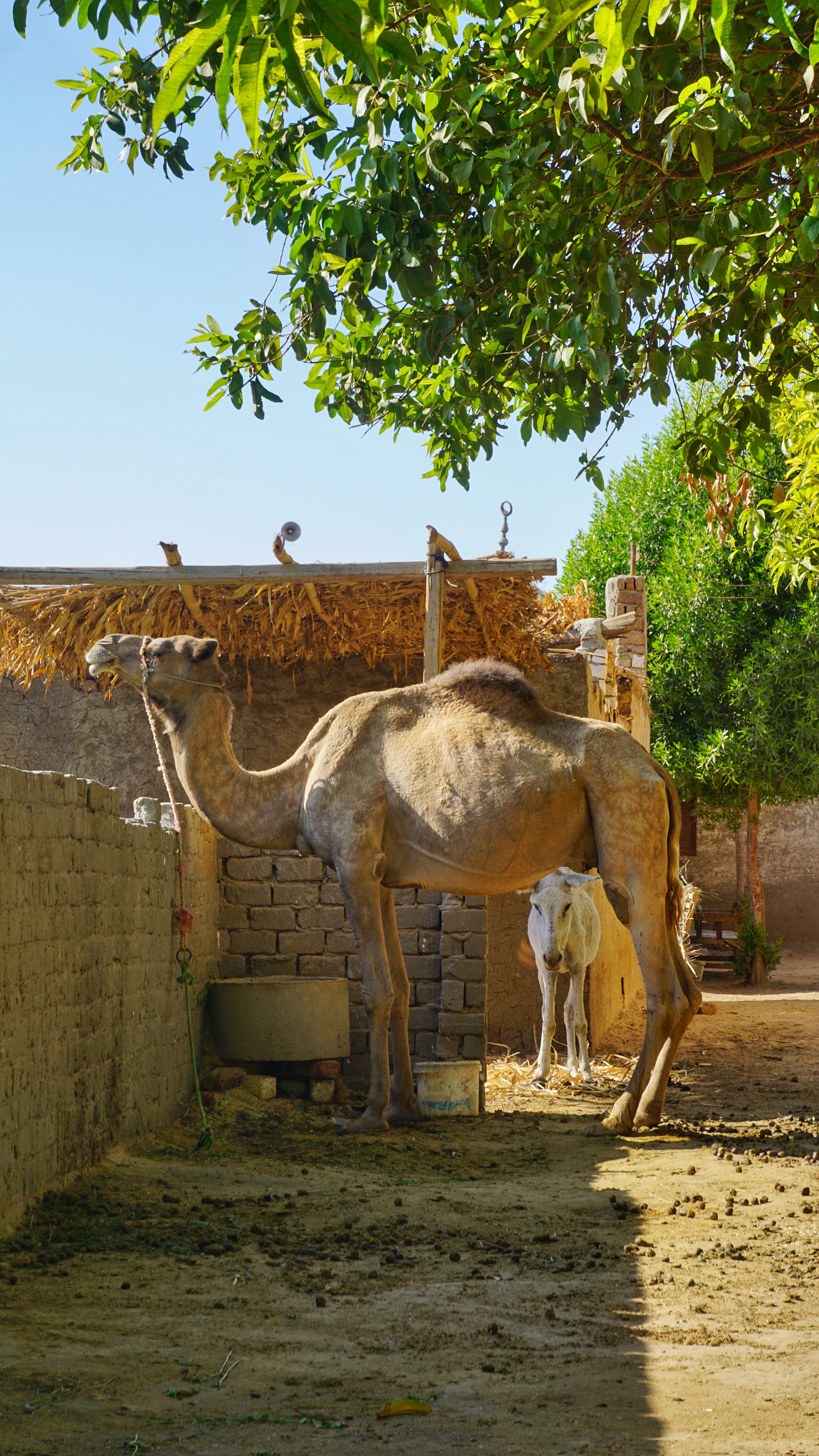 Фото Empire Hotel Aqua Park