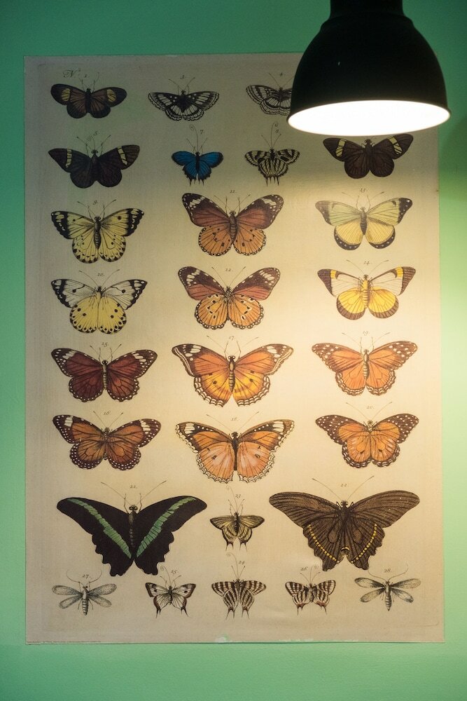 Фото Signor Suite Colosseo