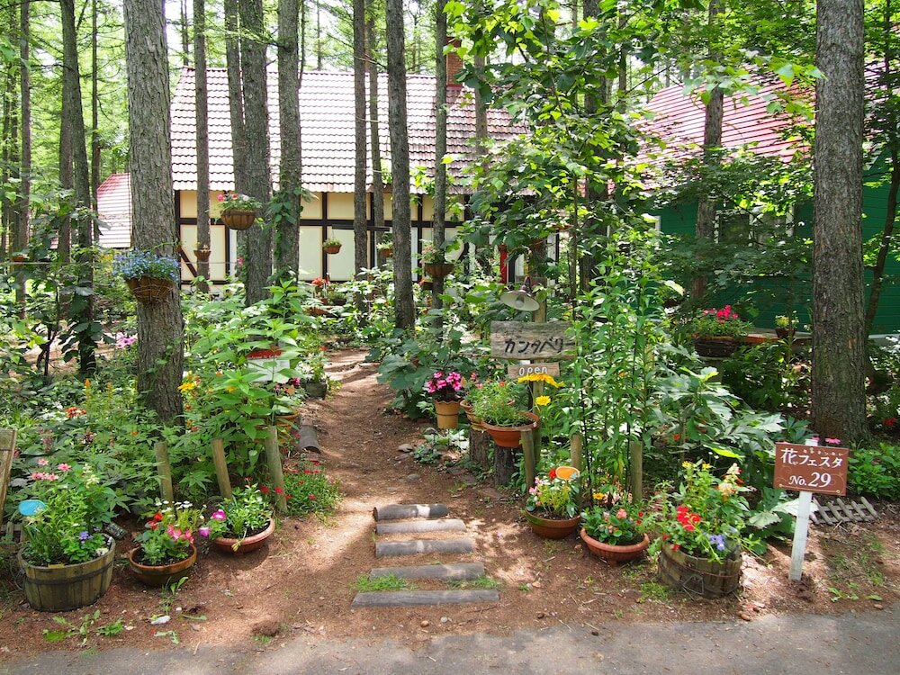 Фото The squirrel's guesthouse Canterbury