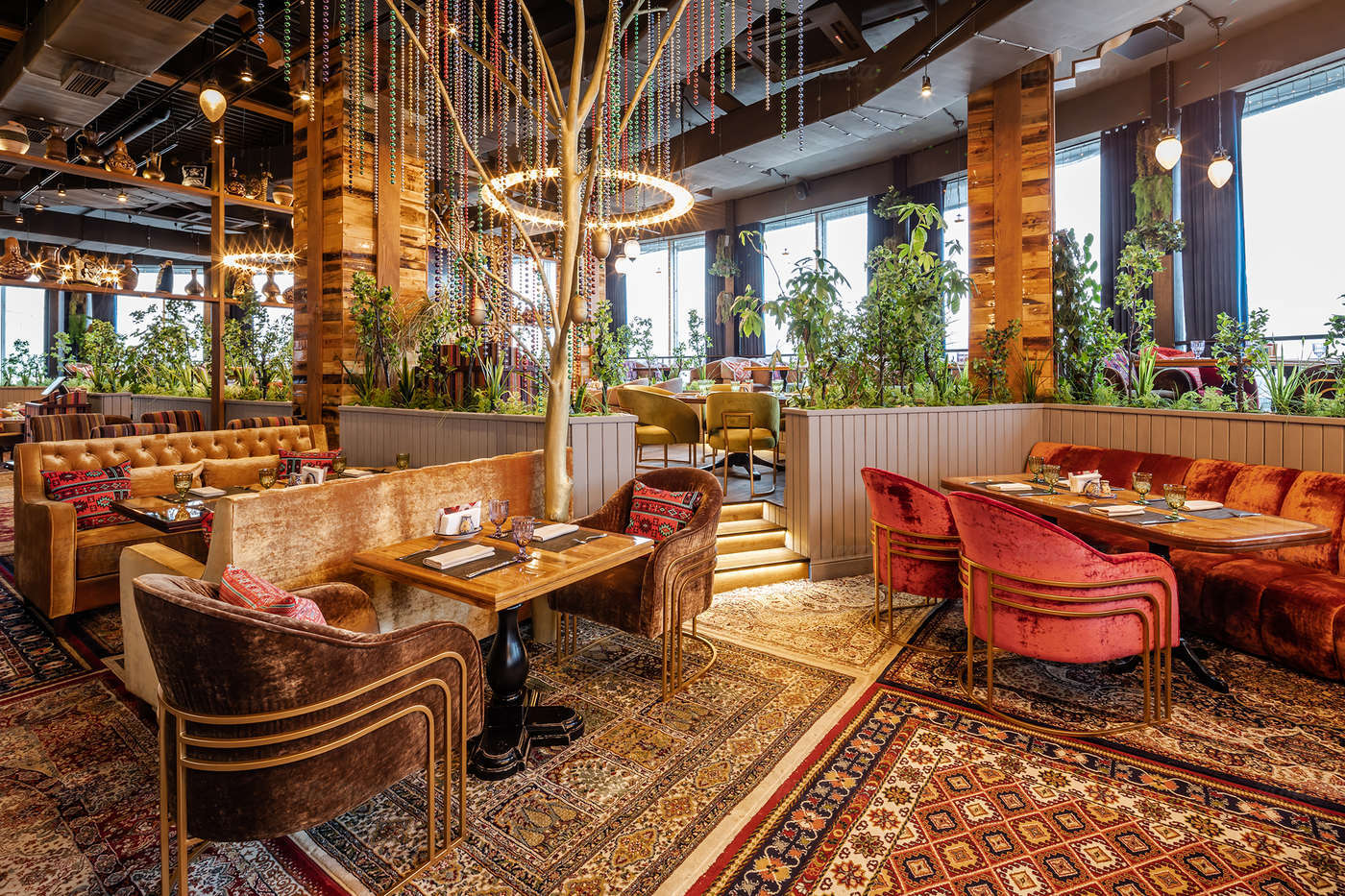 Siqilgan gozal kotiba ichida eshak