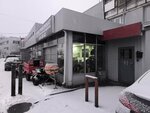 Monolit (Gagarina Avenue, 121Б) ، النباتات والزهور الاصطناعية