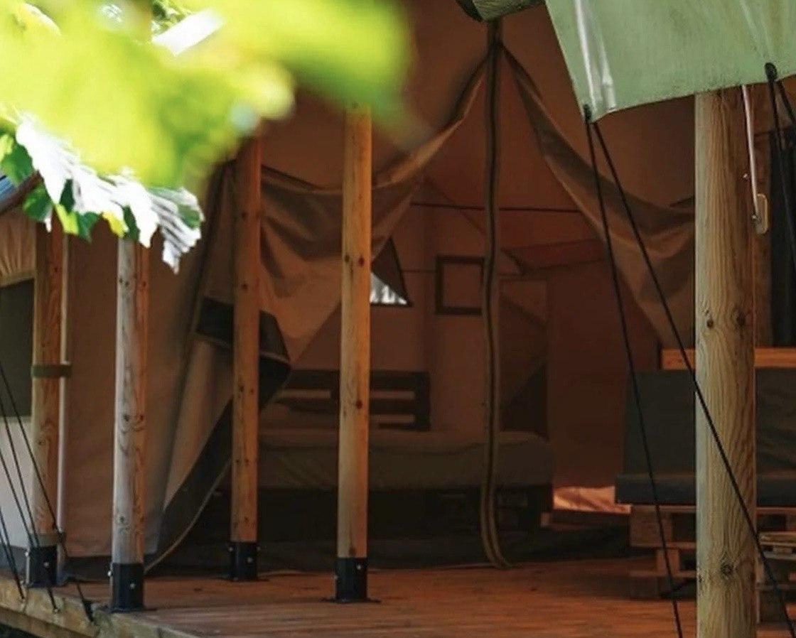 Фото Южный Вайб Древо