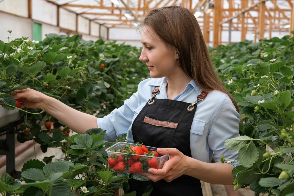 Work abroad Kelbar, Astana, photo