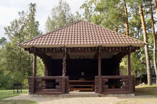 Иное жильё Дворянская усадьба в Тамбовской области