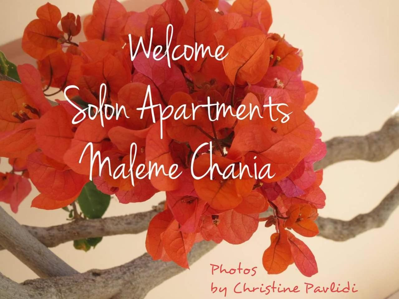 Фото Solon Apartments