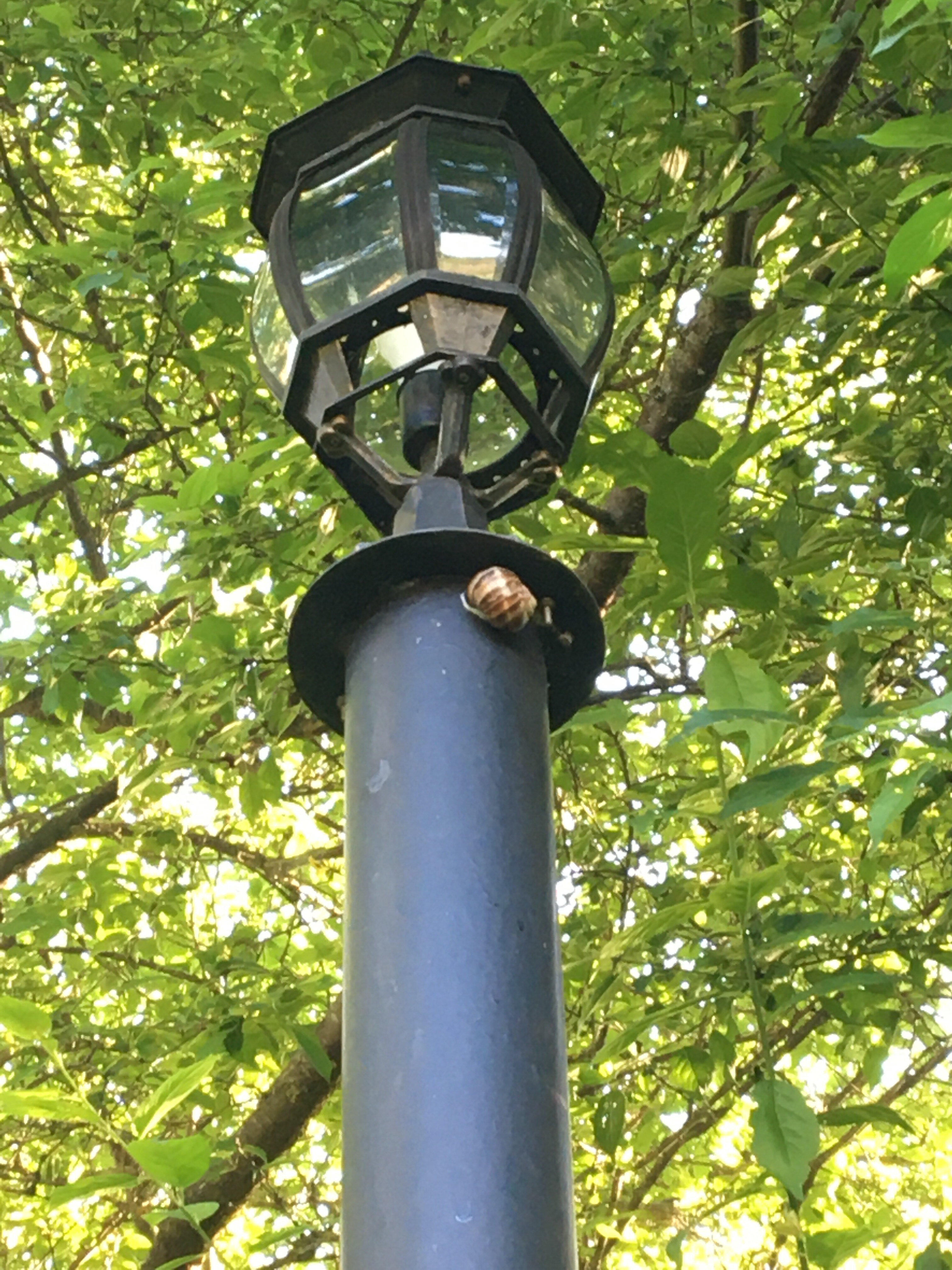 Фото Крым коттедж