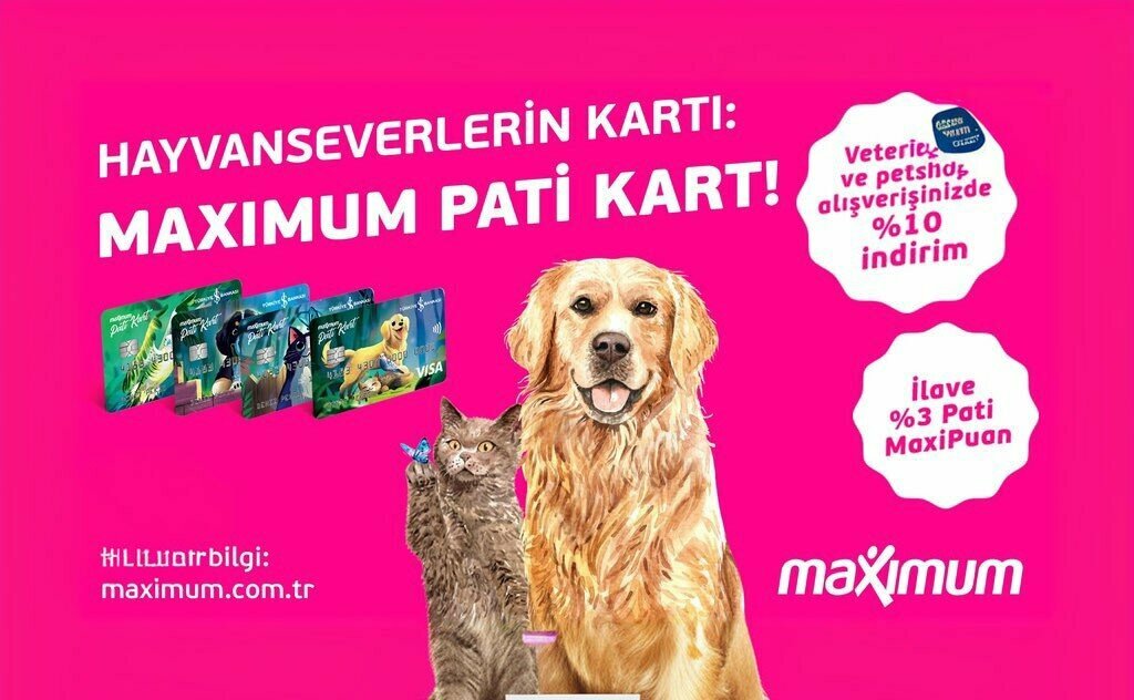 Bank Is Bank, Ayvalik, photo