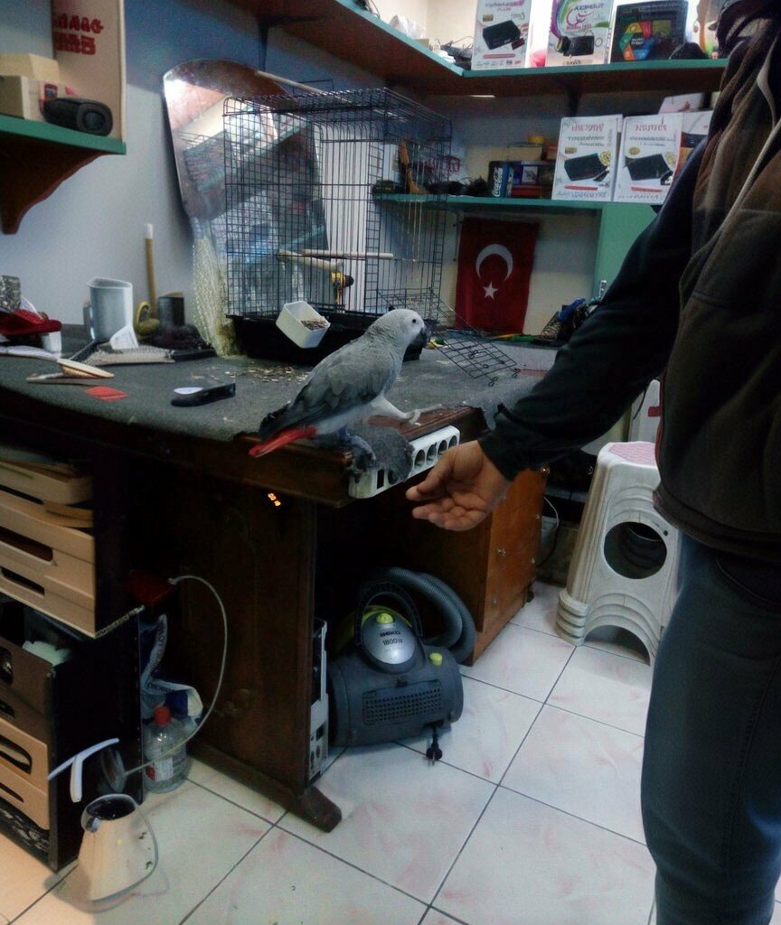 Satellite tv Volkan Elektronik, Izmir, photo