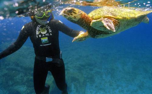 Фото Pousada Caminho das Estrelas