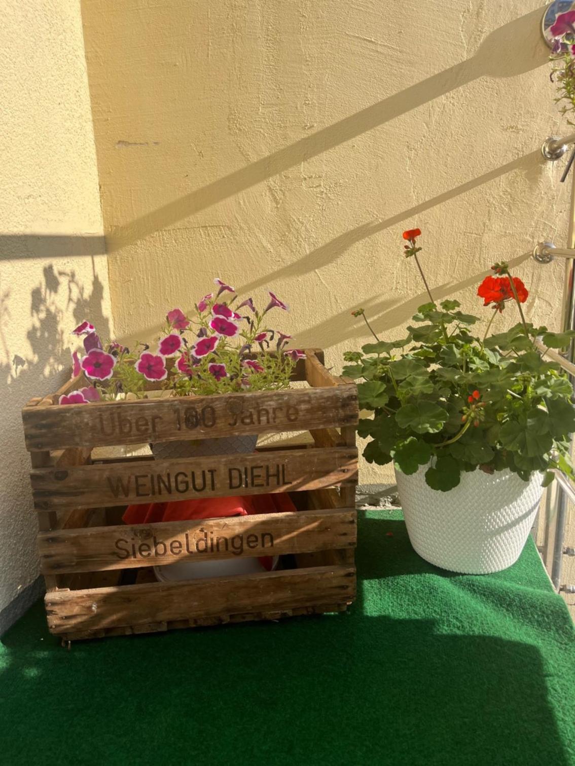 Фото Hotel Jägerhaus