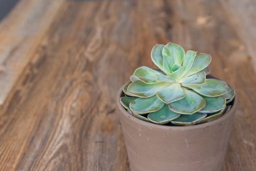 Фото Smartflats City - Saint-Gangulphe