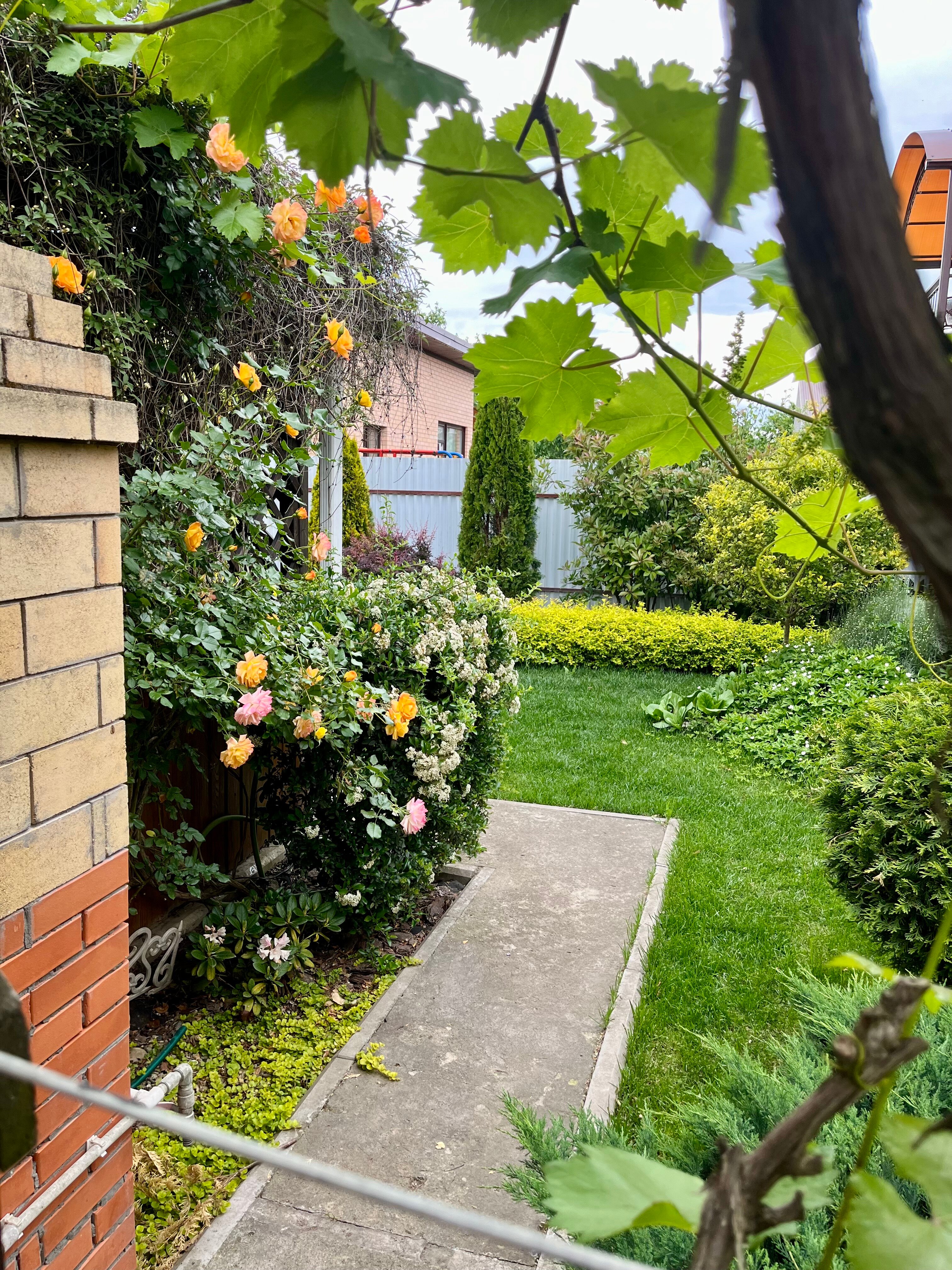 Фото Ремарка