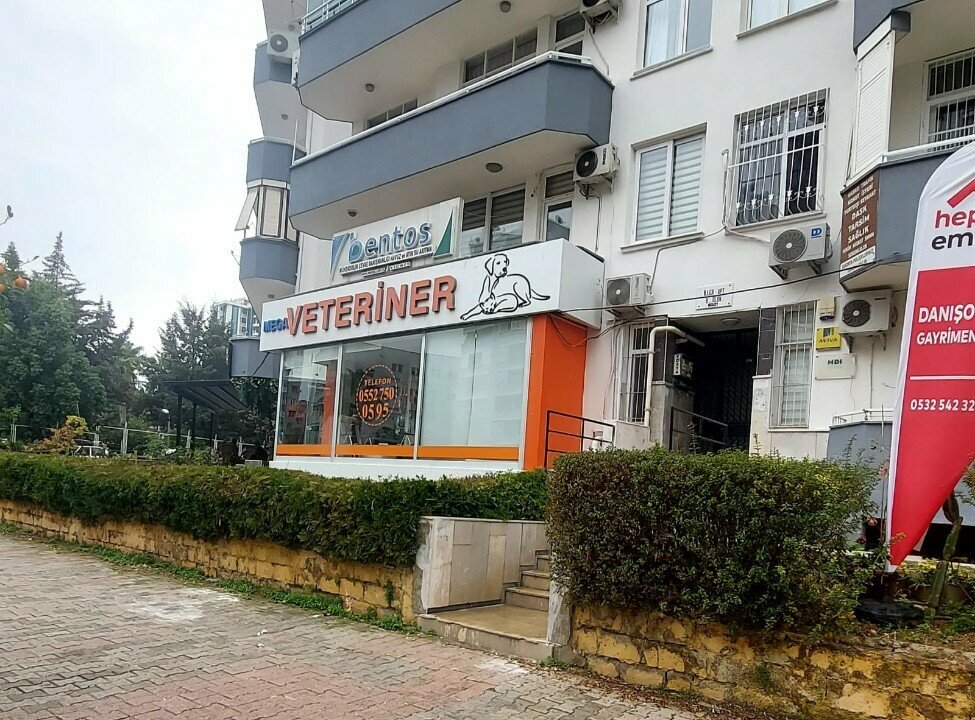 Engineering Bentos Engineering, Adana, photo