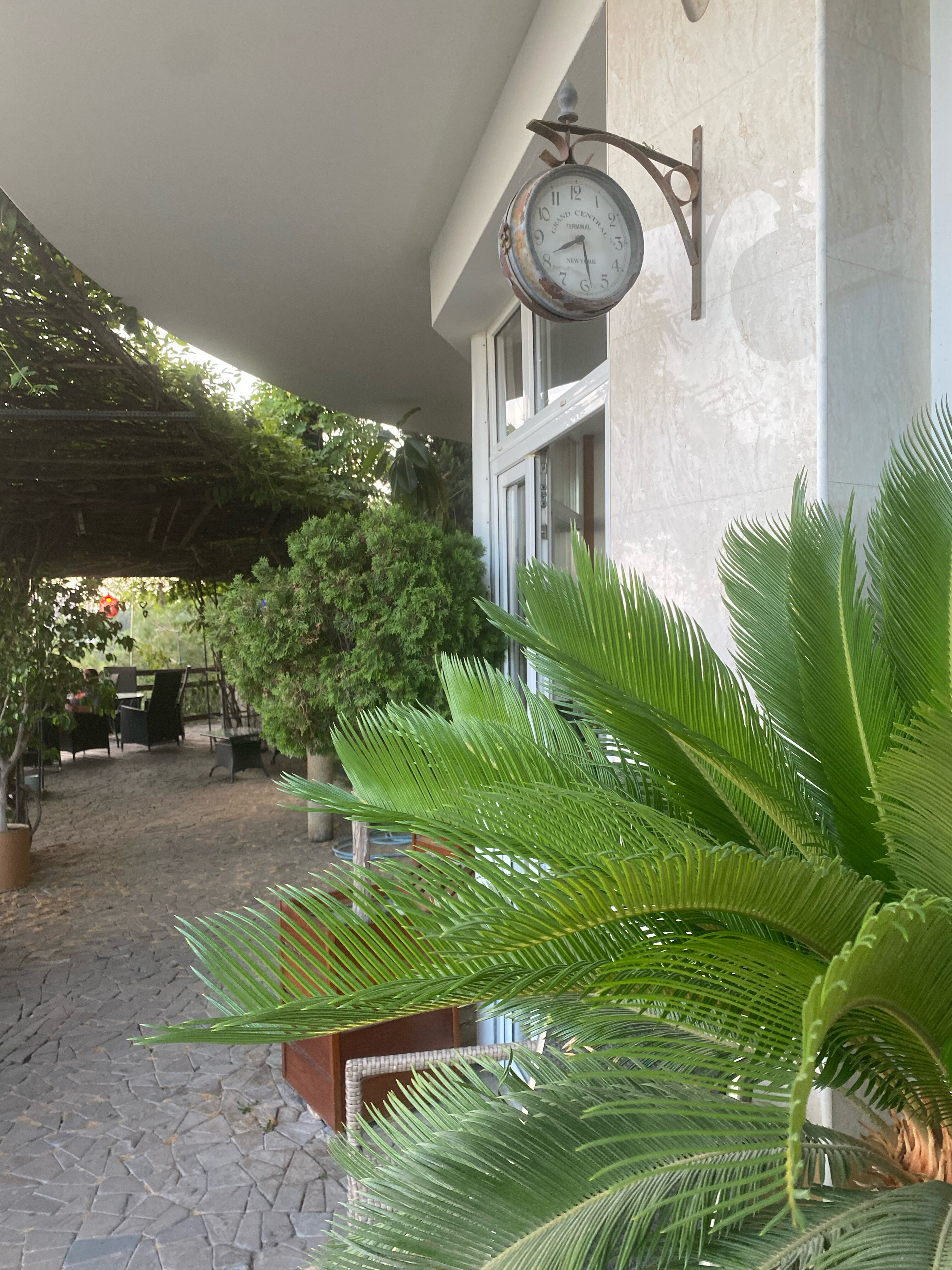 Фото Парк Симеиз