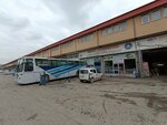 Arge Bus and Truck Spare Parts (Ankara Province, Yenimahalle, Macun Neighborhood, 194th Avenue, 16/13), auto parts and auto goods store