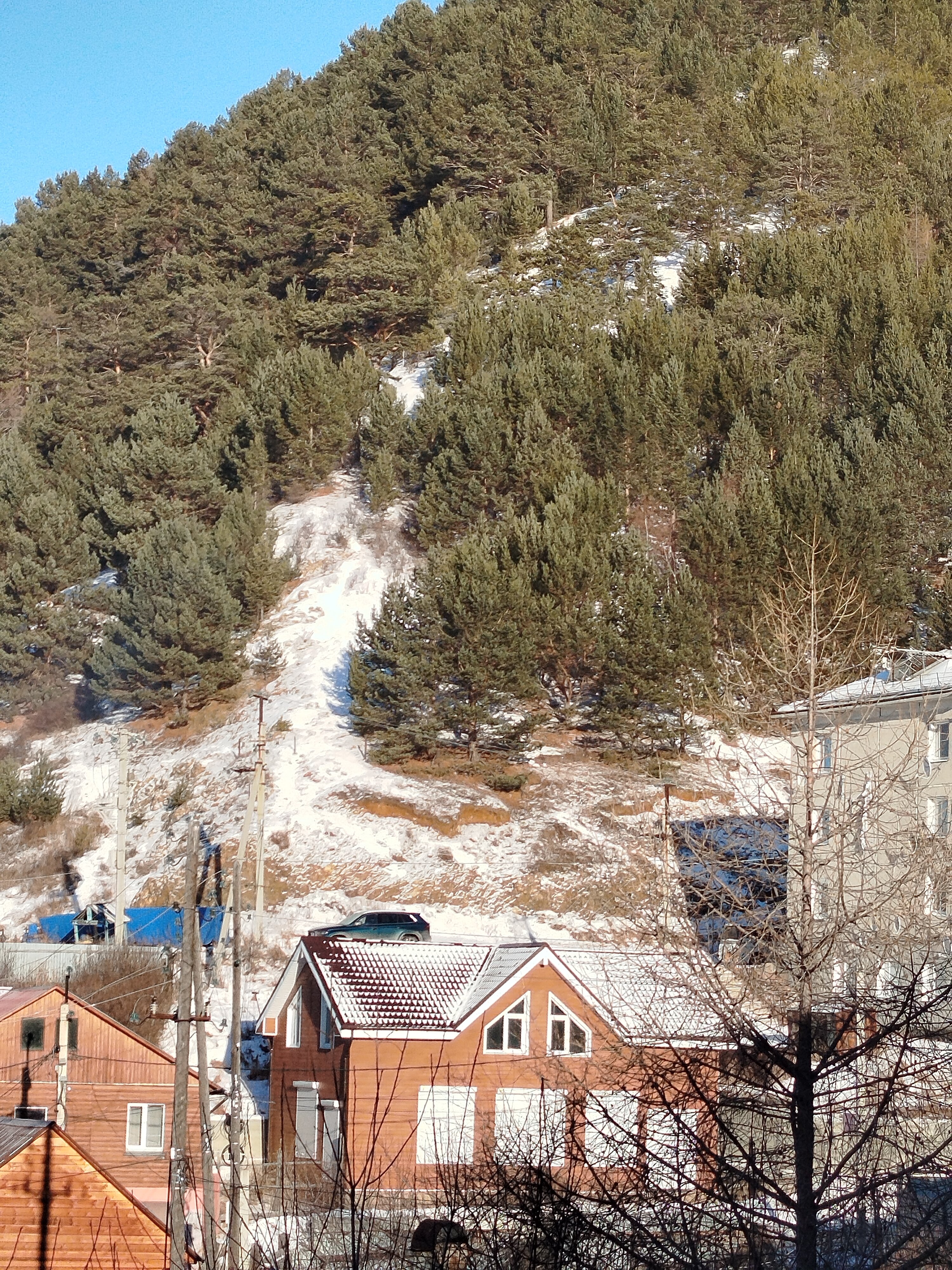 Фото Байкал Кедр