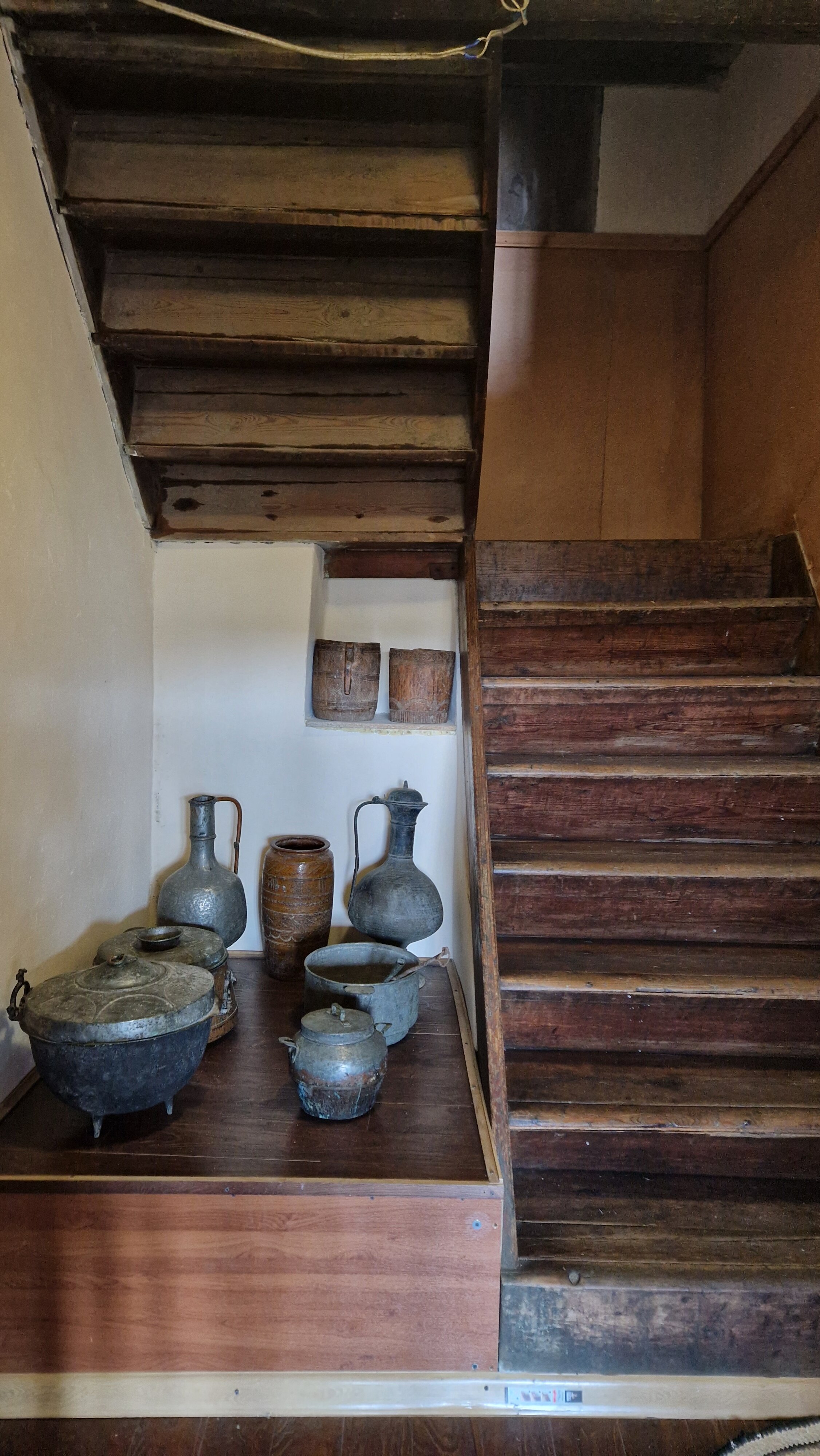 Фото У Муса