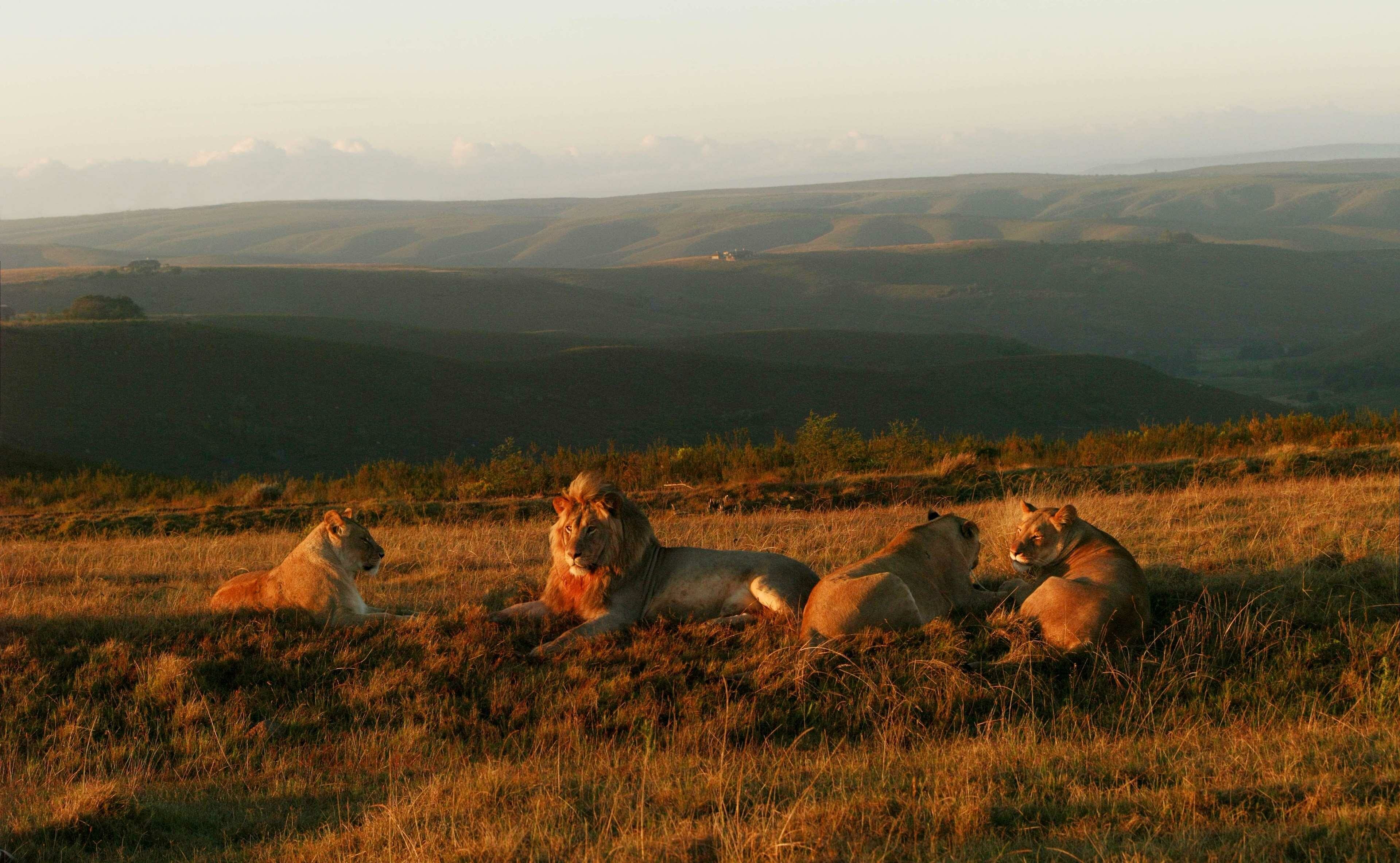 Фото Gondwana Private Game Reserve