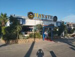 Hayati Ceneviz Fish Idealtepe (Istanbul, Maltepe, Turgut Ozal Boulevard, 125) ، مطعم
