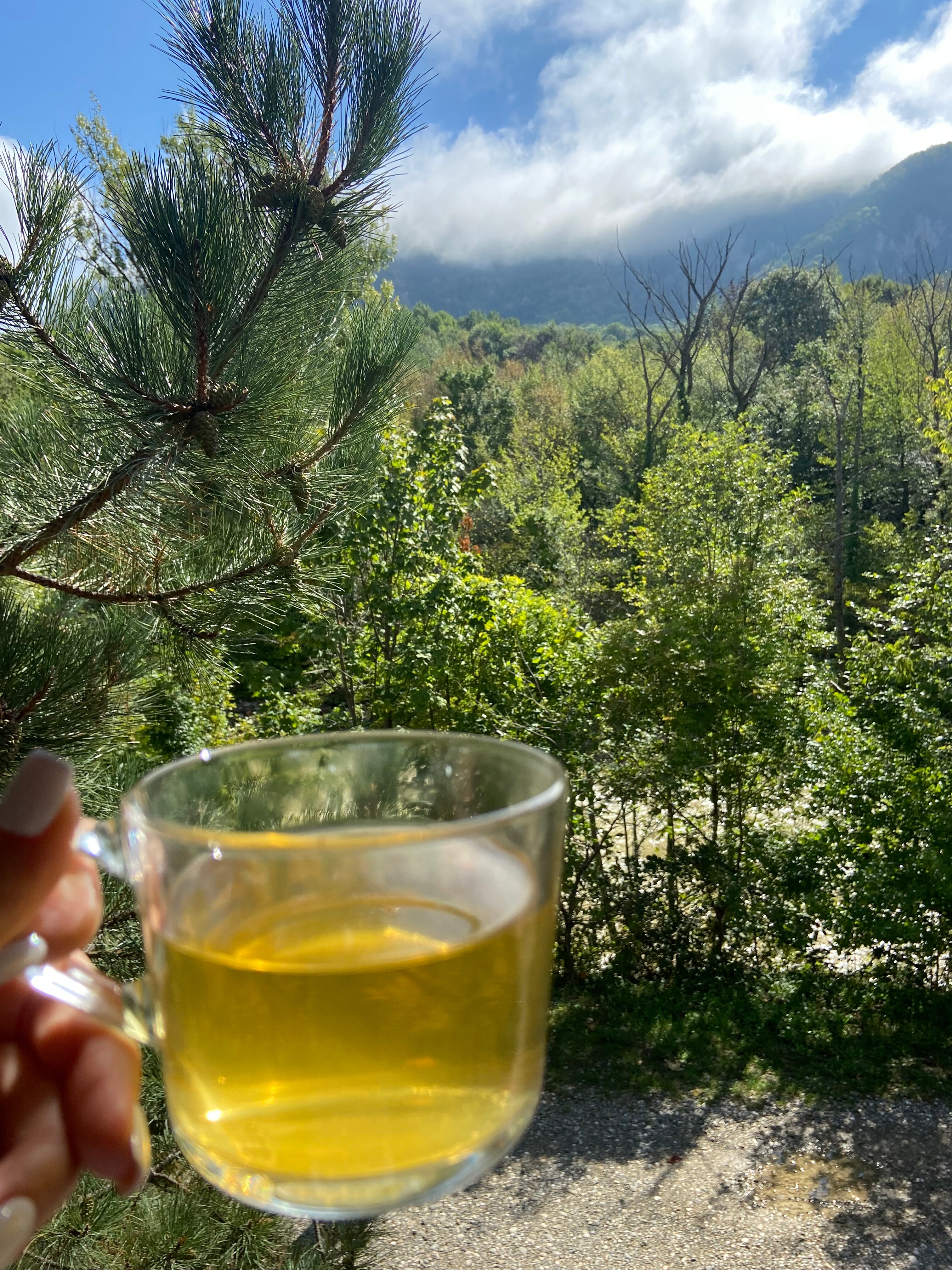 Фото Теремок