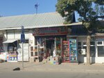 Bektemur (Lenin Street, 588), grocery