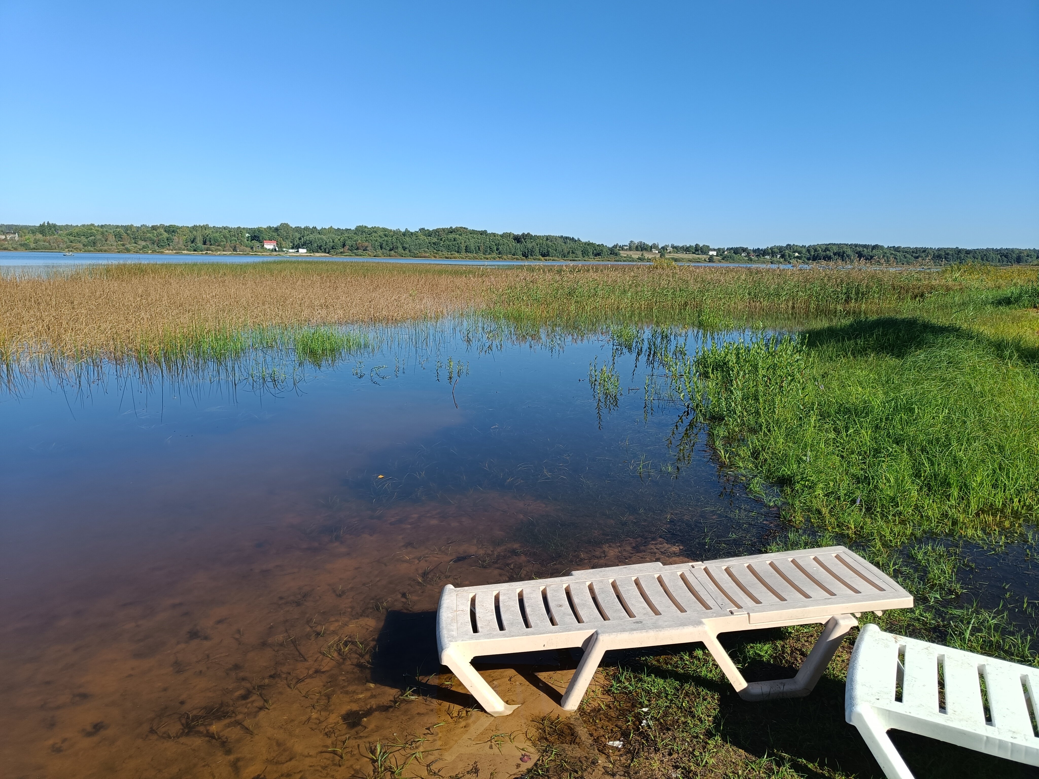 Фото Солнечная