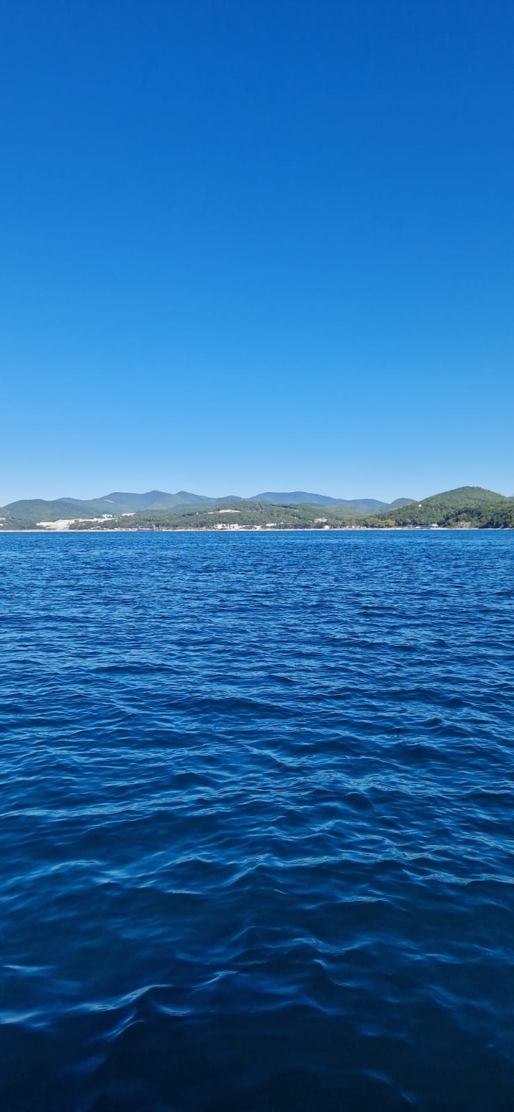 Фото Family club More