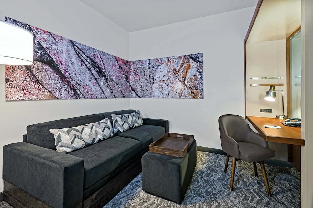 Фото SpringHill Suites by Marriott San Antonio SeaWorld Lackland