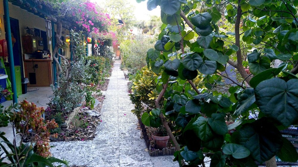 Фото The Desoto Inns