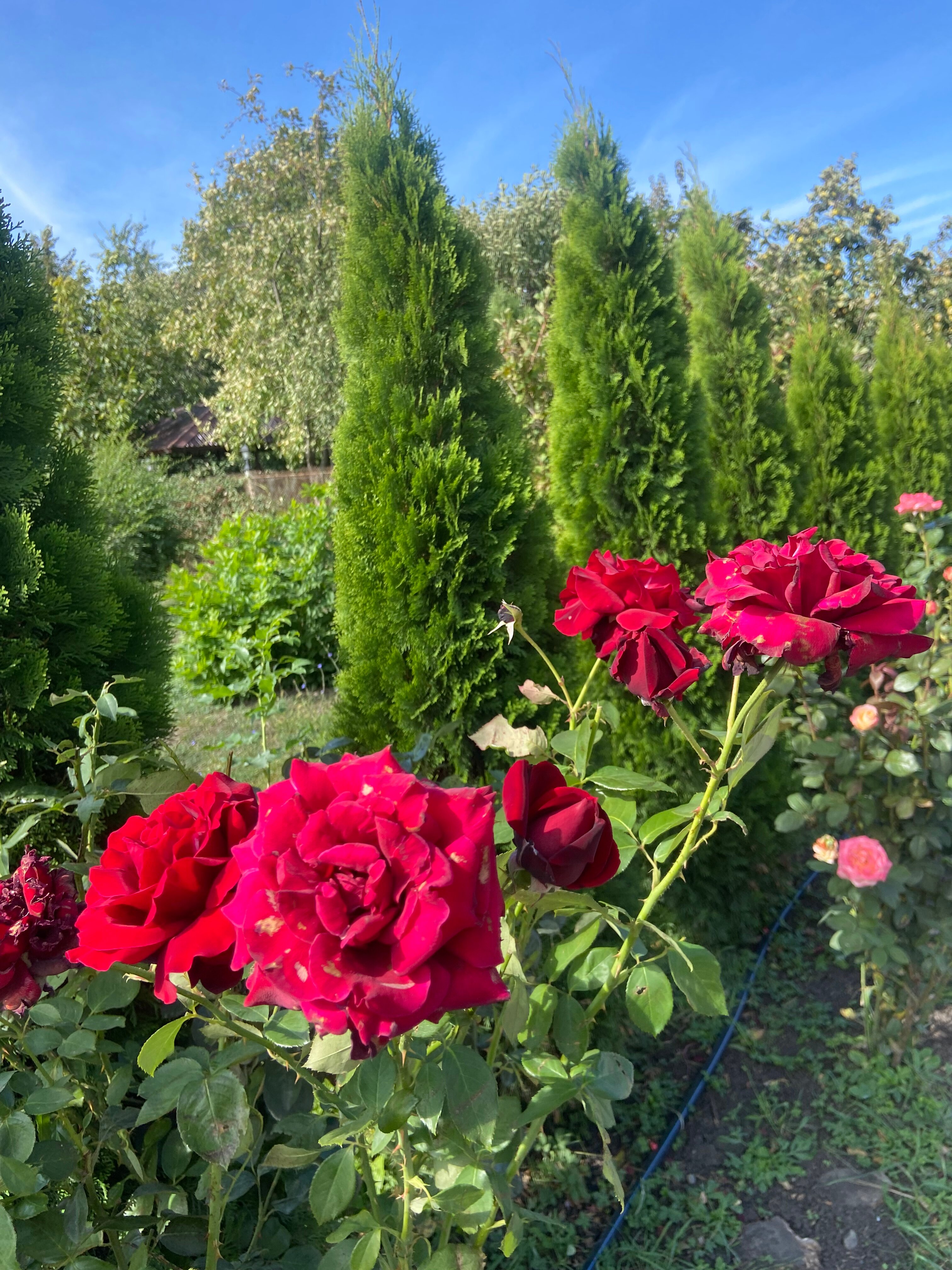 Фото АртОтель